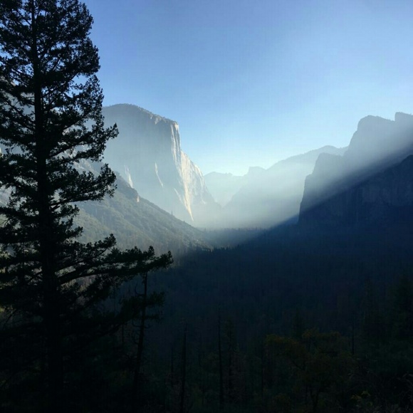 Meet your Posher, Melody - Picture 2 of 2